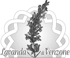 Lavanda di Venzone